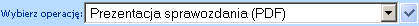 prezentacja sprawozdania_pdf