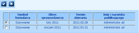 z_formularz_podglad excel